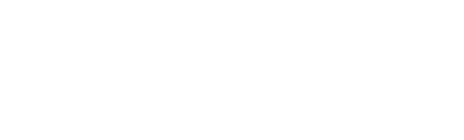 MSS Website